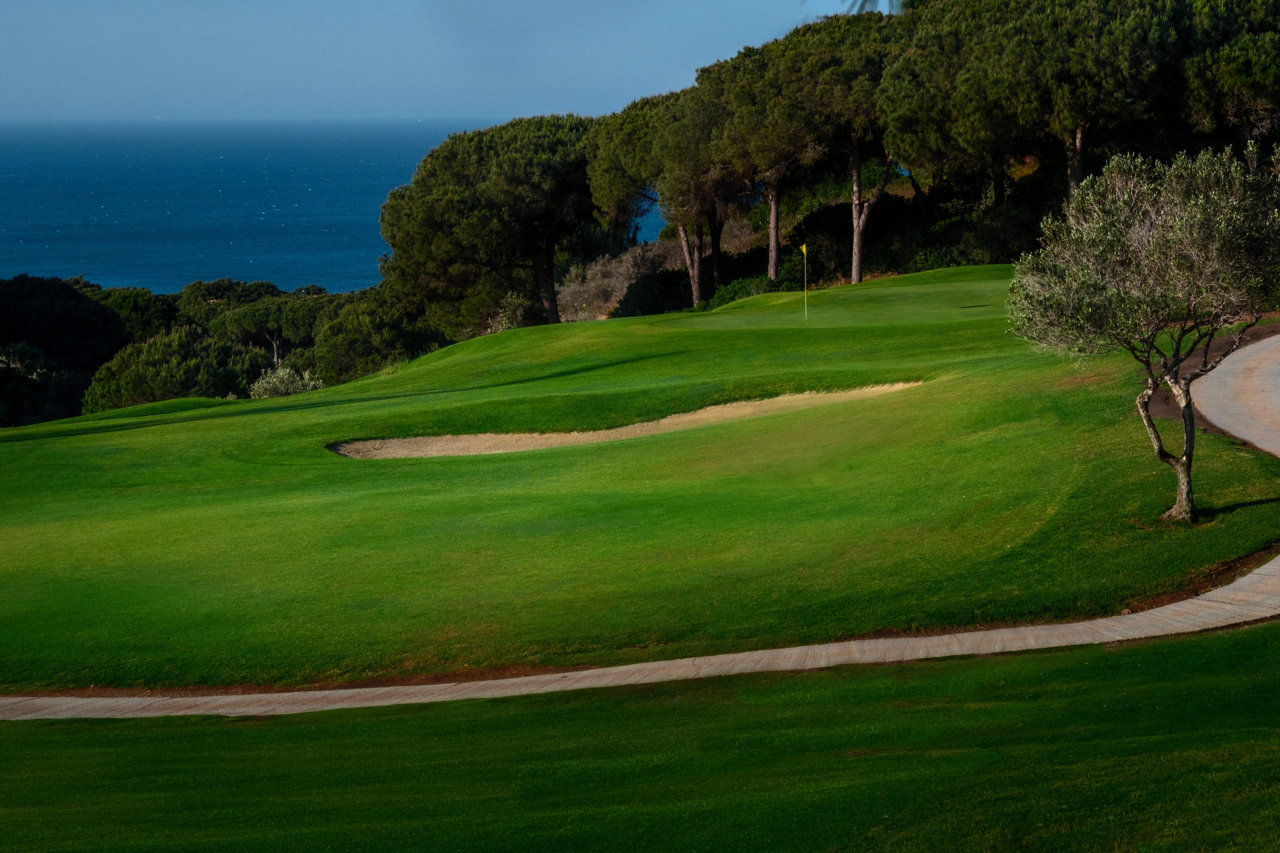 Green fee Marbella