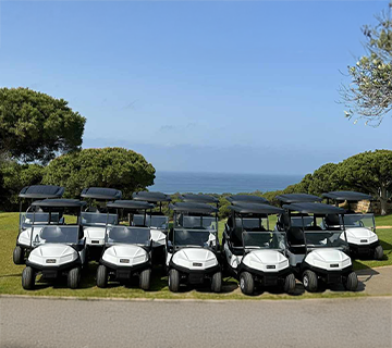 Flota de Buggies Cabopino